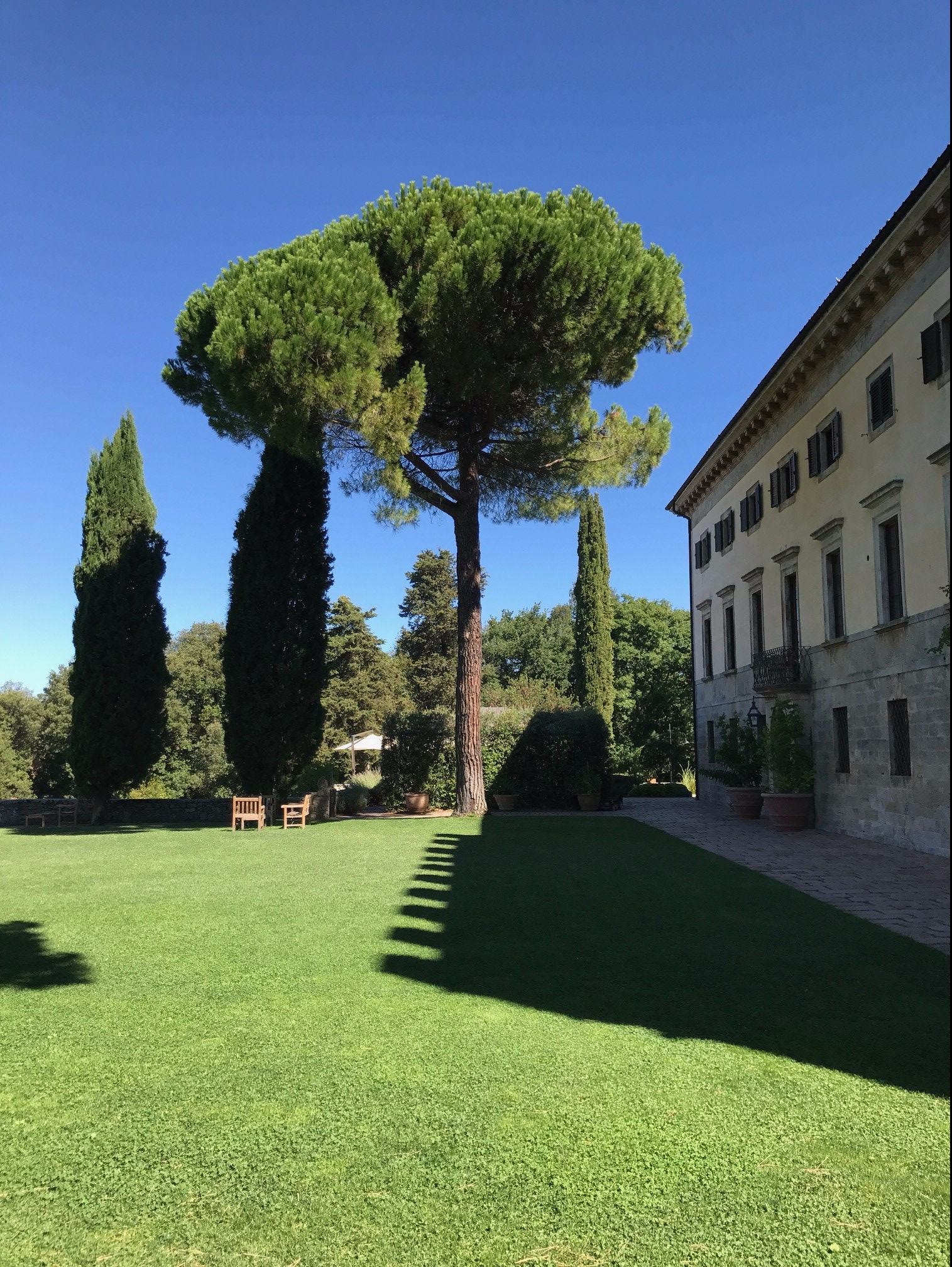 Front Lawn Borgo Pignano
