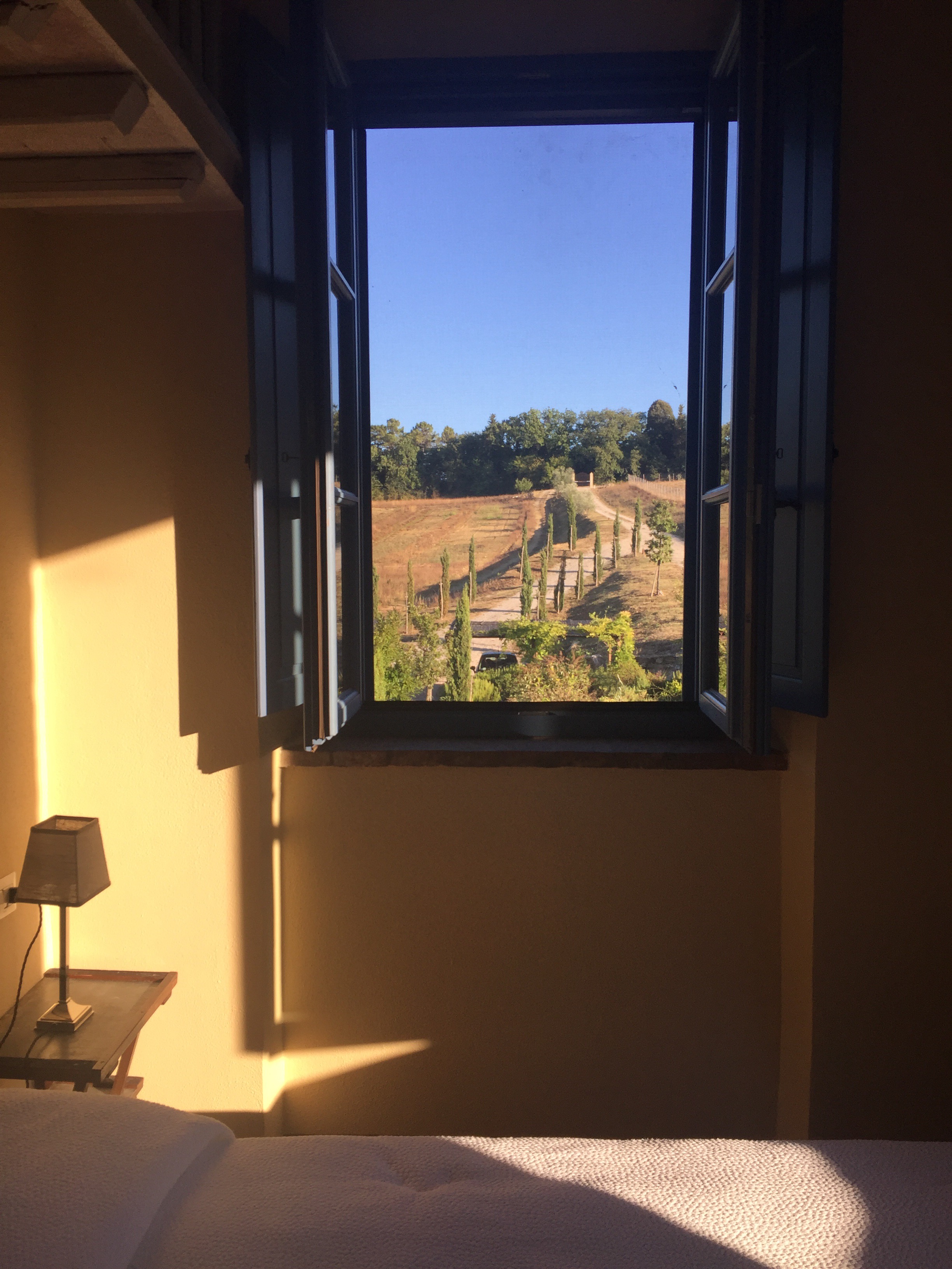 View from my bedroom window