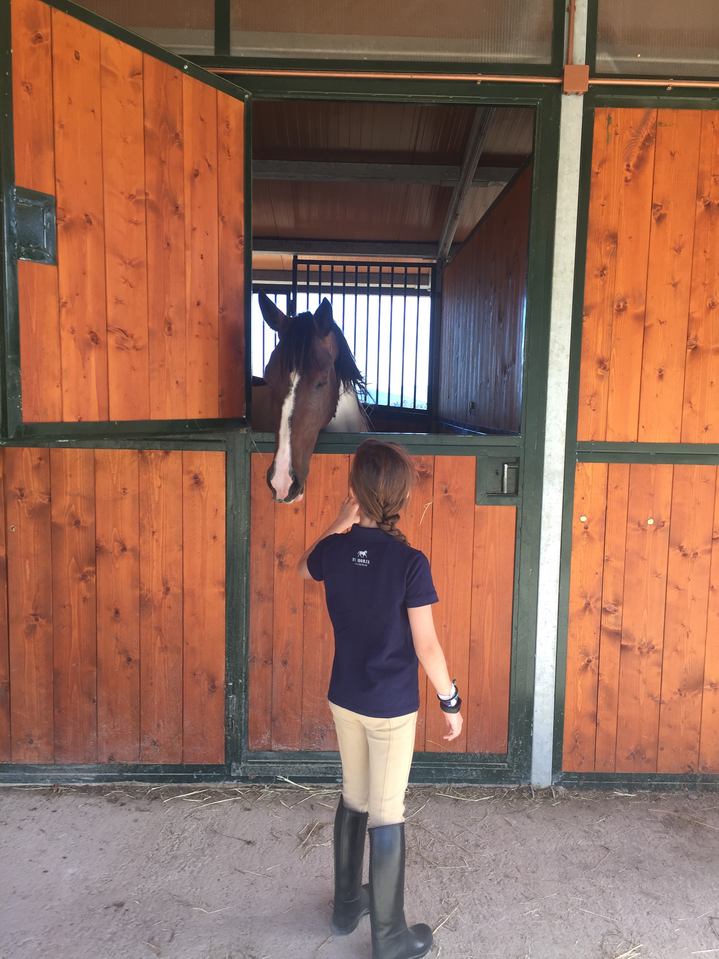 Saying hello to the horses in their stables